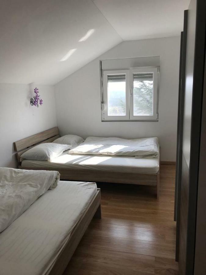 Apartmani Livk Debeljak Exteriör bild
